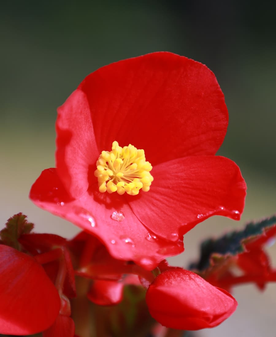 Gallery page image.